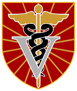 logo-cvm-bordered
