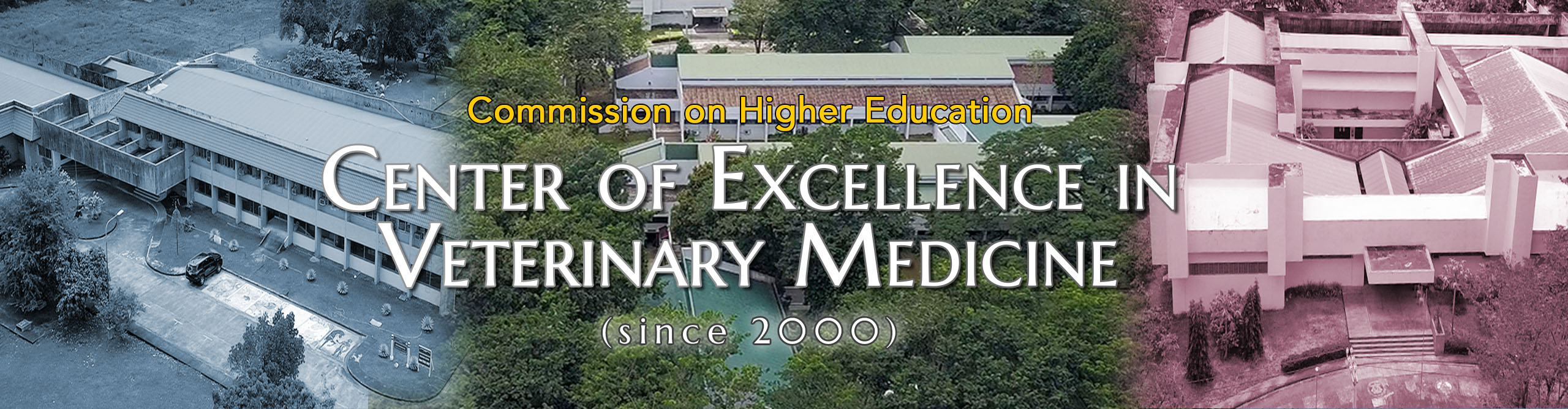 CHED-CVM CENTER OF EXCELLENCE