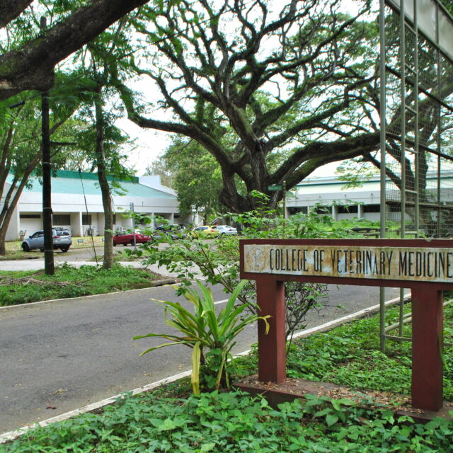 6PhD Programs